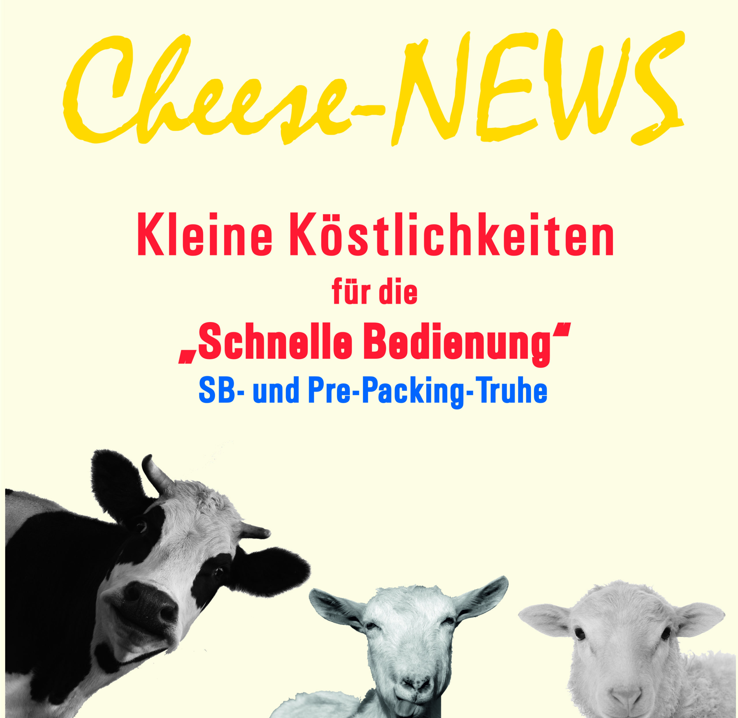 Cheese News 3 Die Käsespezialisten Süd